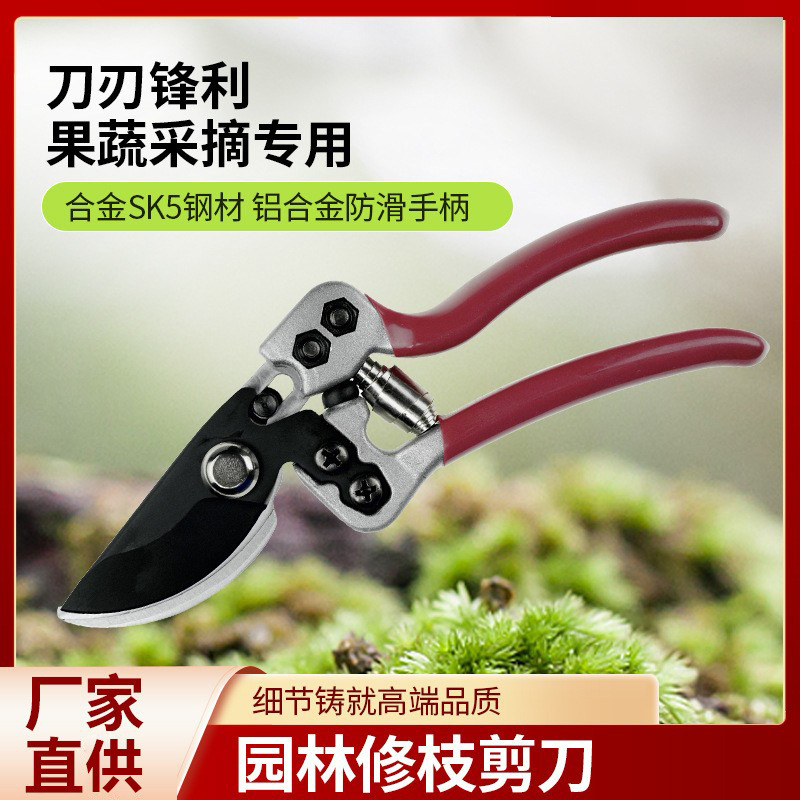 园林剪枝剪刀园艺专用树枝修剪果树修枝粗枝剪大力剪强力大剪子