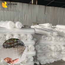 防鸟网聚乙烯大鹏鸟网葡萄网果园网樱桃网鱼塘白色塑料拉伸网