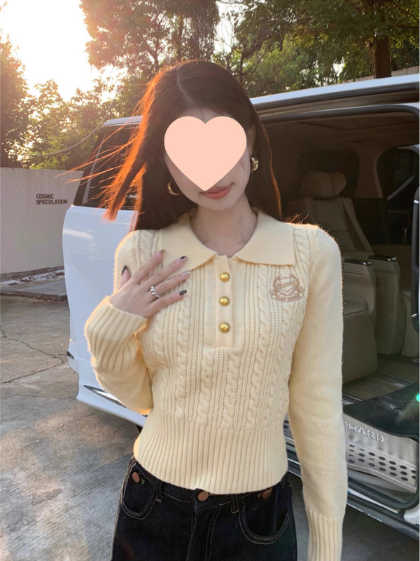 韩系学院风麻花毛衣女秋季2025新款气质正肩翻领套头短款针织上衣|undefined