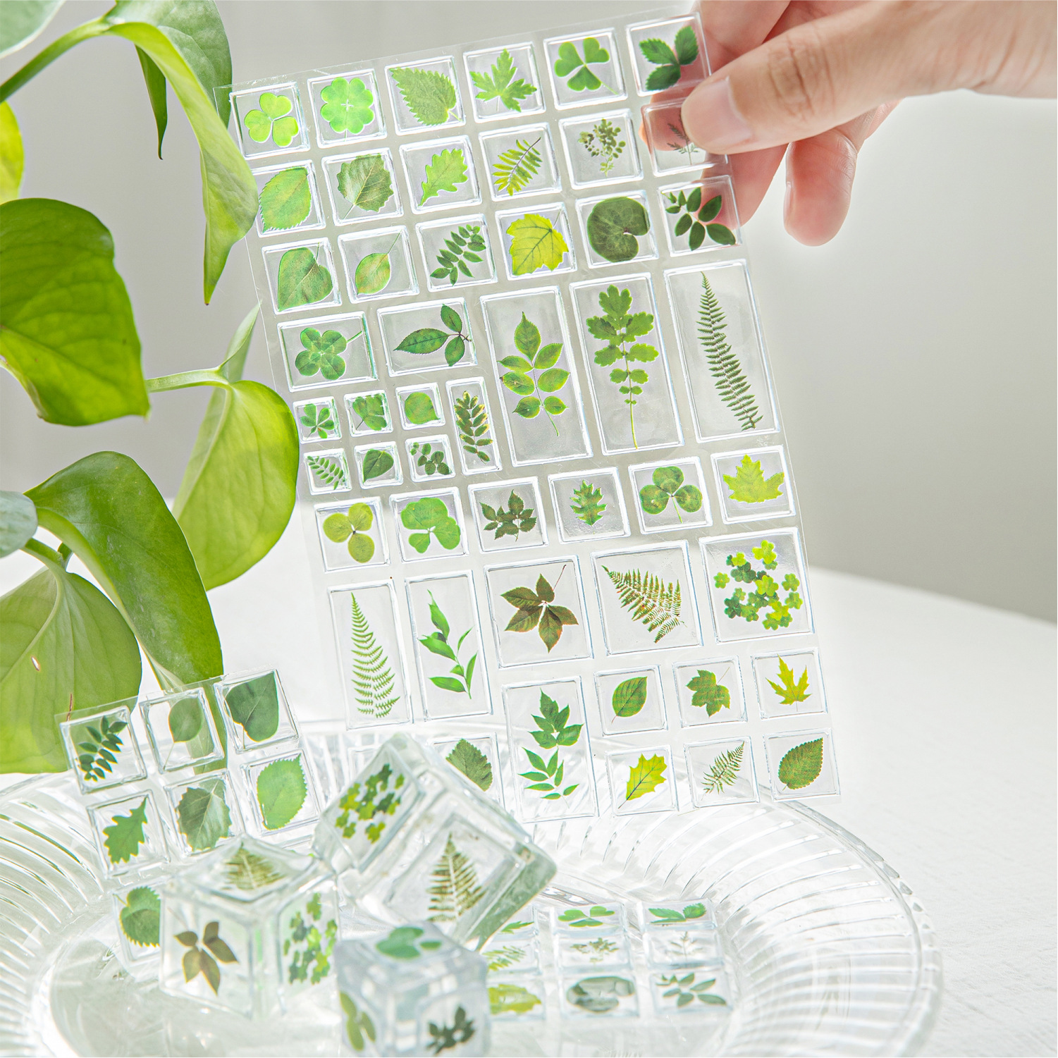 Pegatinas decorativas tridimensionales 3D acrílicas Mo Mo