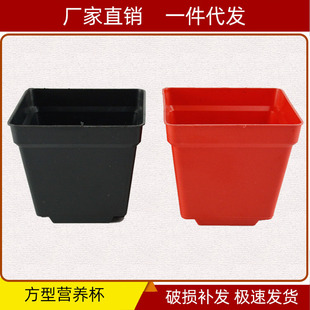 Square nutrition cup plastic flower pot pot flower base fleshy seedling cultivation black red [factory price direct supply]