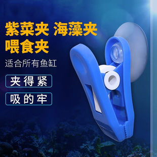 Aquarium color suction cup seaweed feeding clip seaweed clip seaweed clip seaweed clip feeder Seaweed algae slices good partner