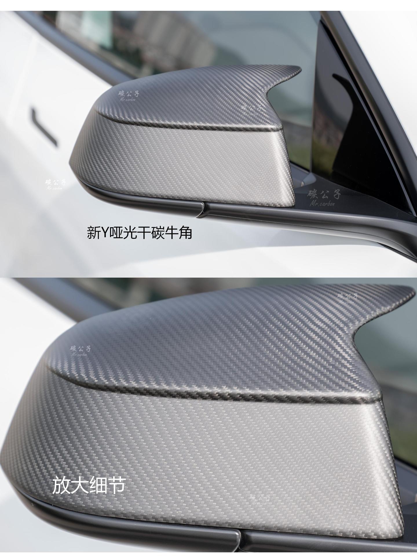 Carbon Prince Is Suitable for Tesla's New Version Model 3Ysx Carbon Fiber Rearview Mirror Shell Reversing Horn Tesla