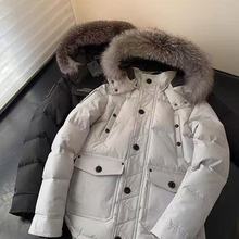 �羳������q������ë07��ů������Ů��H�Bñ�A��3Q����MOOSE