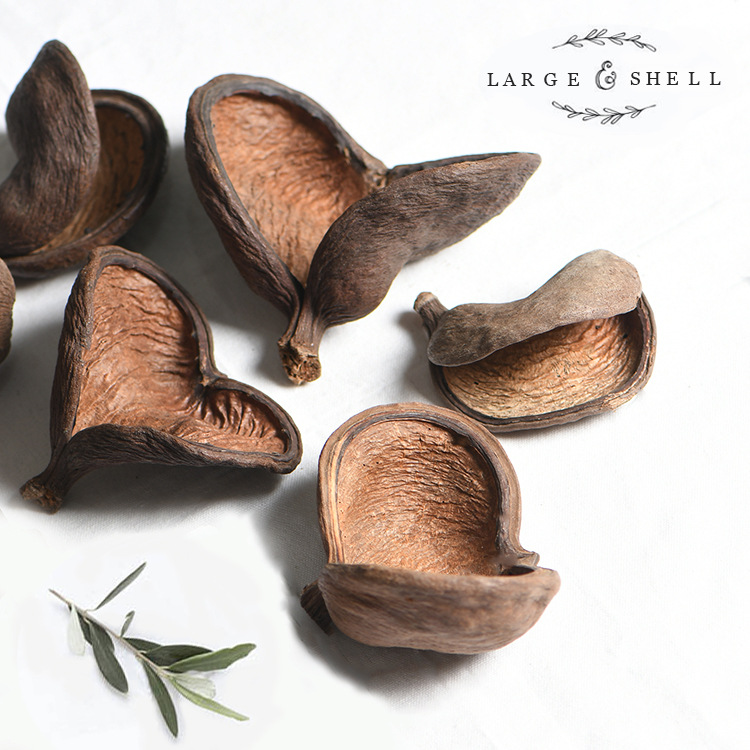 [Da Ping Po] Natural plant Daiguo real fruit shell/Mori decoration…