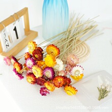 ����L�ɸɻ��滨�������߲ʾ����l�ֹ��廨����DIY�������Ϲ��S