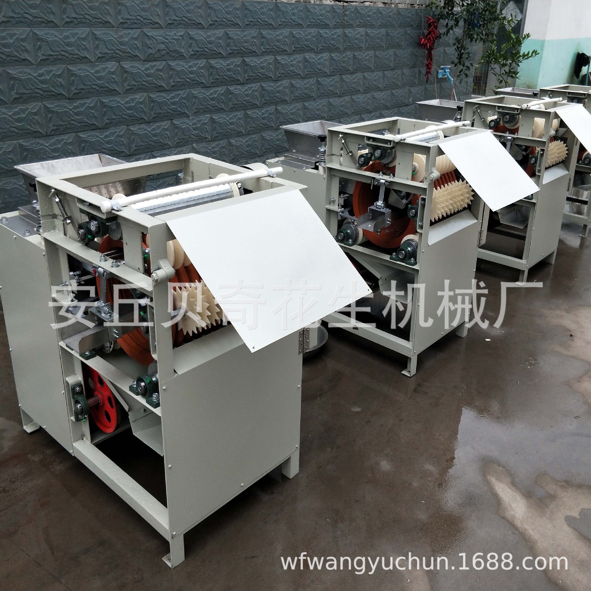 供应花生机械脱皮机湿法脱皮机，油炸花生脱皮机