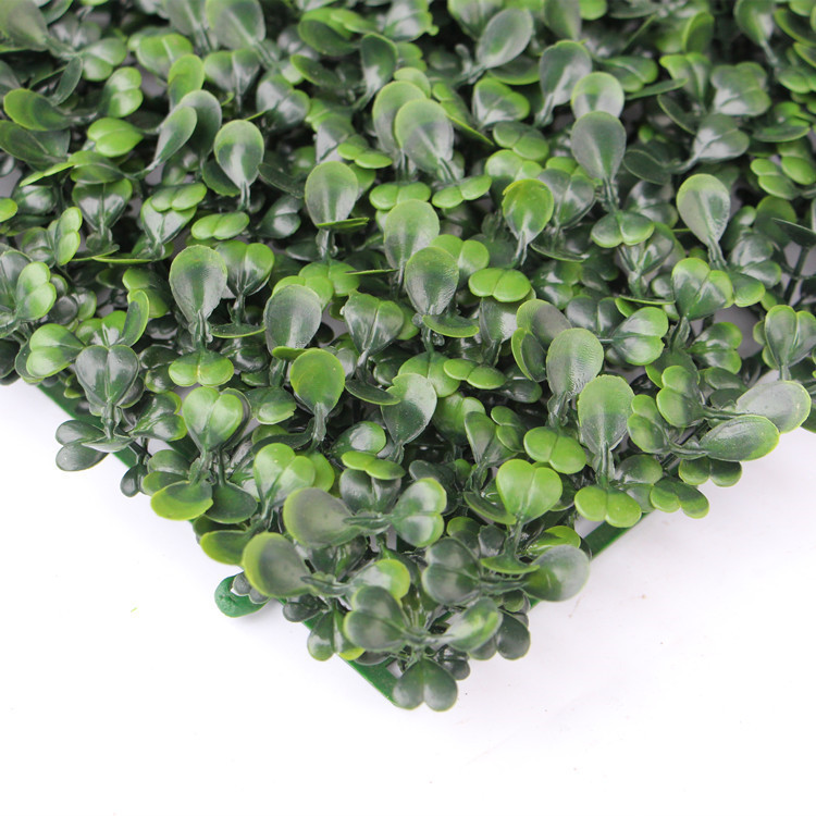 9377733334_2087066554