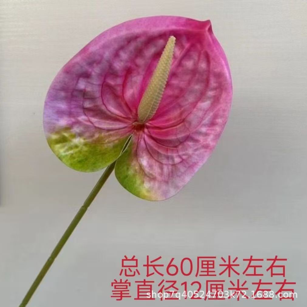 색상 번호 14