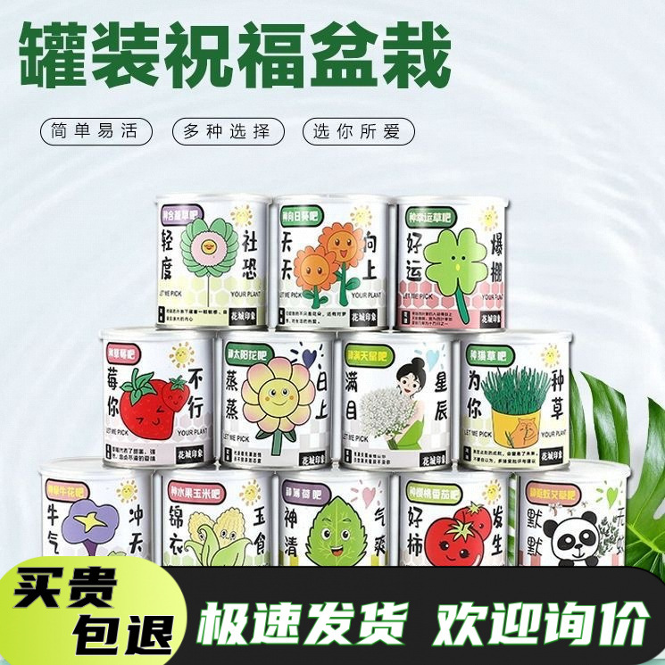Kindergarten Planting Potted Plants Office Green Plants Small Potted Magical Plants Mini Desktop Children's Planting Cans