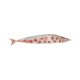 Simulation autumn sashimi model squid beard grilled iron plate squid small octopus props octopus squid dried grilled fish