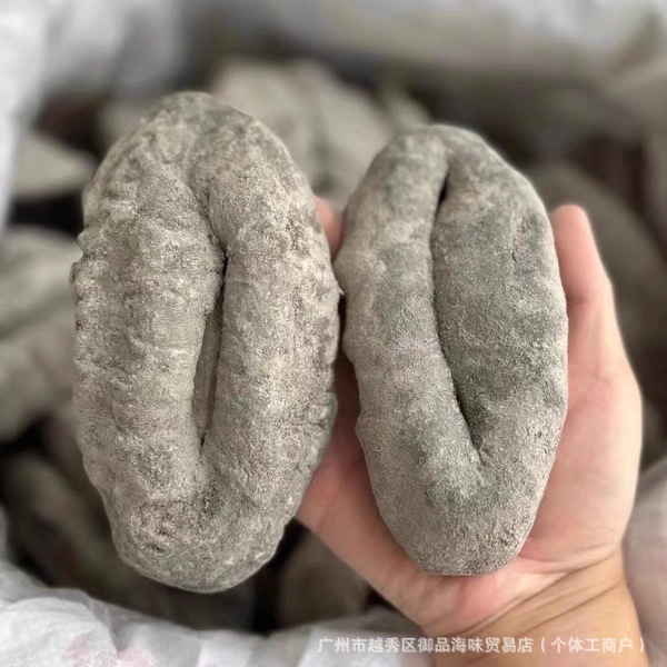 澳洲黑猪婆参蓝肉乌石参进口海参纯淡干厚肉猪母参干货广东原产