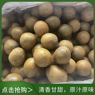 �����_�h���Y���b�΂��������b�V���a�_�h���ͶY�S��ֱ��