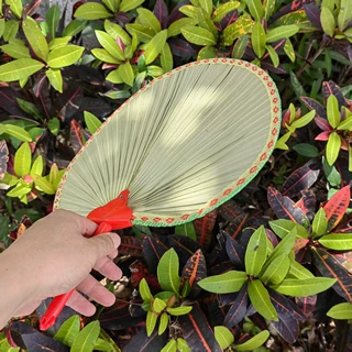 10把厂家源头直发!!中国结跳舞首选!!好蒲扇!芭蕉扇子老式家用