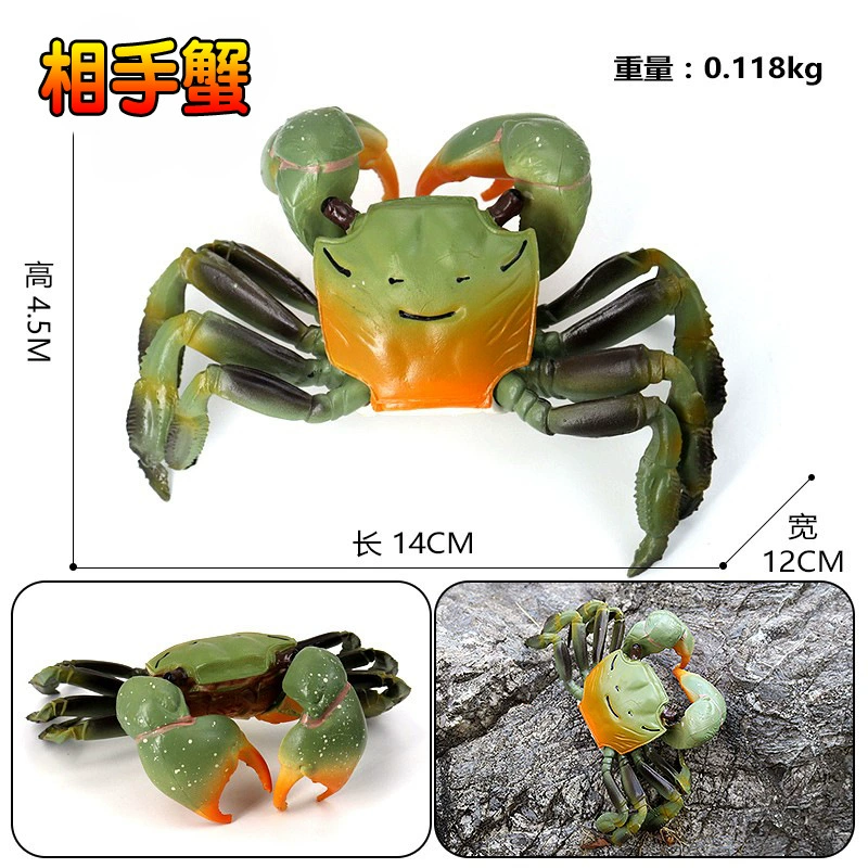 Игрушка, большие морские когнитивные украшения