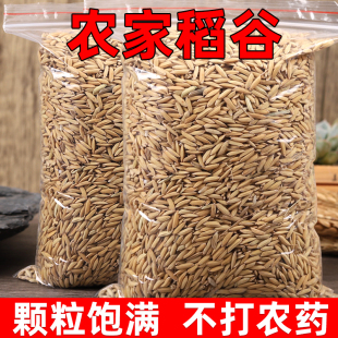5�굾�Ȏ�������ι�u�����Z������l����ˮ����ι�u���Z�B�Z