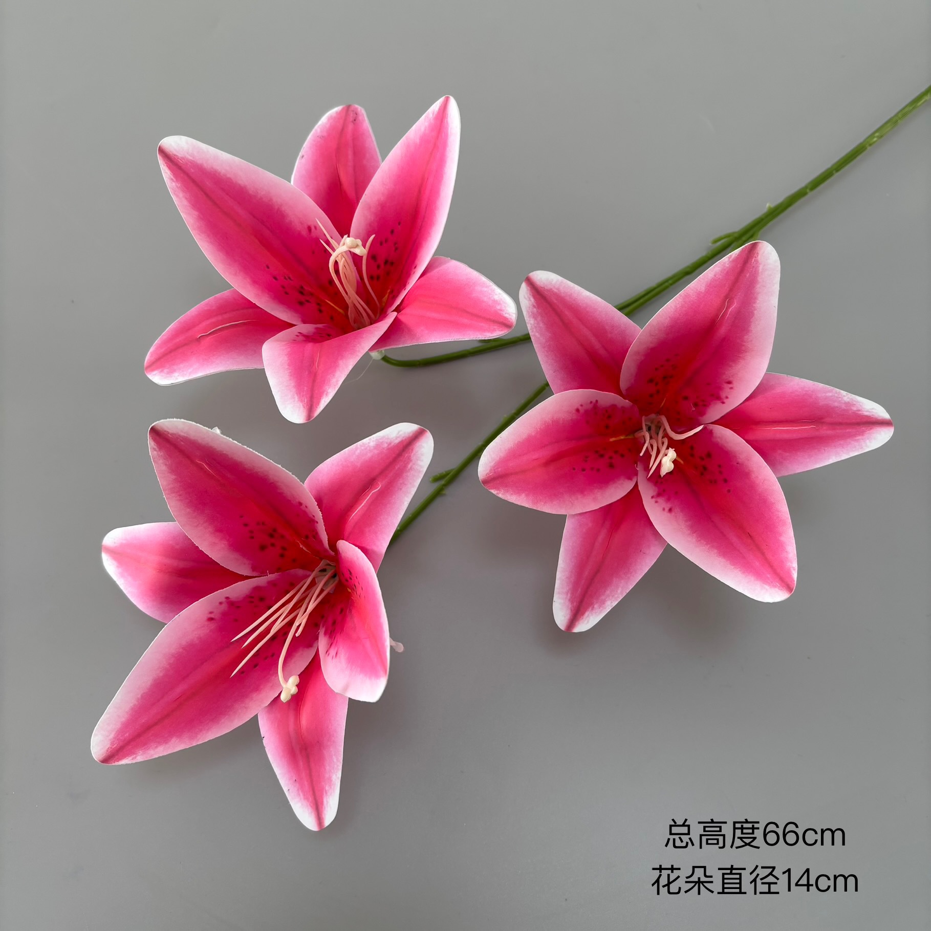 3D 프린팅된 사유리 3개