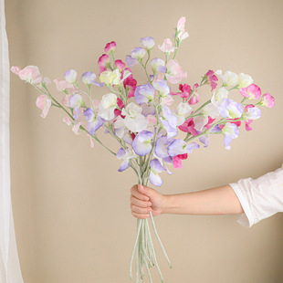 ���滨���㶹�ҾӲ�����ˇС�������������Ĕzܛ�b��ꐻ�c�ٻ�