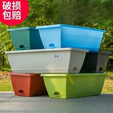 ���ش�̖�L�������ϷN��������̨��ݮ�߲˷Nֲ