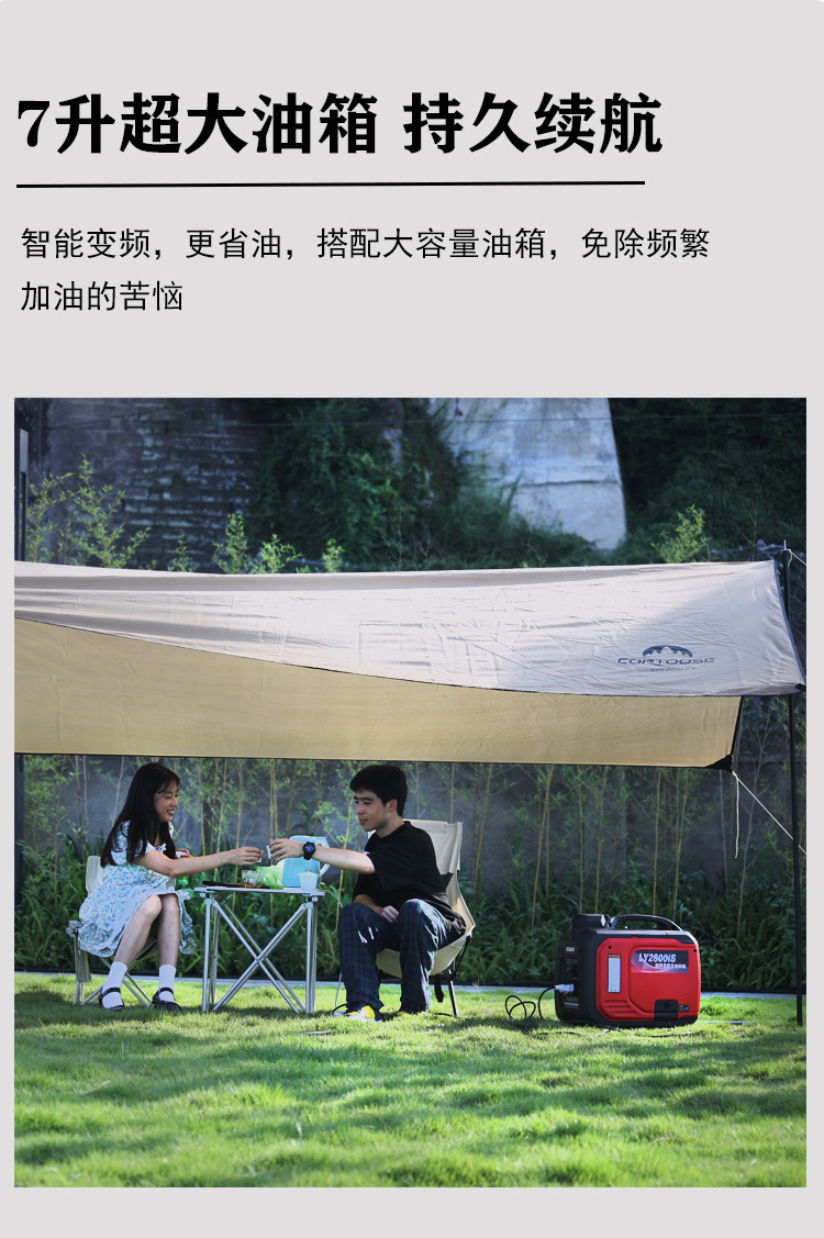 Longyu Mini Small Gasoline Generator 220V Low Noise Variable Frequency Outdoor RV Camping Portable All-Copper Motor