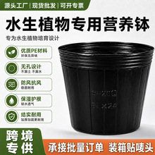 睡莲盆 荷花盆 水生植物盆加厚无孔营养钵水盆 塑料碗莲盆 不漏水