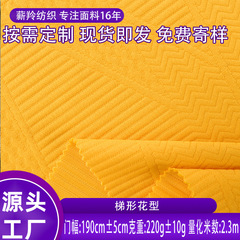 クロスボーダーソース台形ジャカード生地ヨーロッパとアメリカの衣類立体的な質感マルチカラー既製品の感覚越境電子商取引ニット生地
