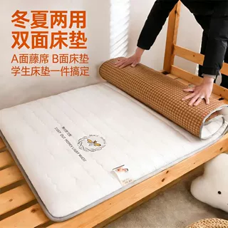 新款冬夏双面床垫软垫两用冰藤席加厚学生宿舍凉席榻榻米褥子批发