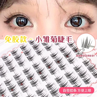 山茶花免胶假睫毛无需胶水即取即用分段黑梗眼睫毛自然仿真