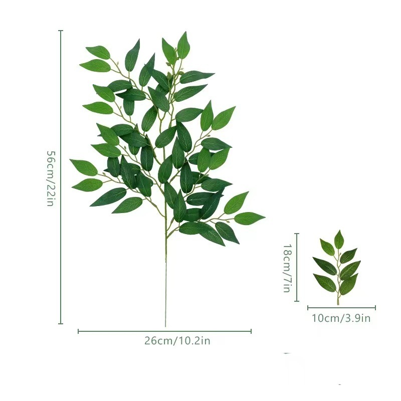 단일 Elaeagnus angustifolia 잎