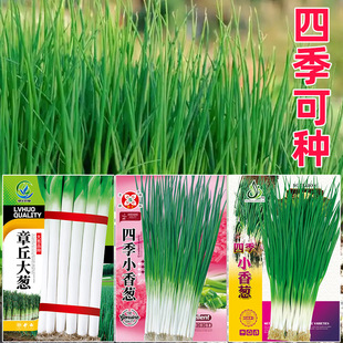 �ļ�С���[�N�Ӵ��[�N�������[�^�N���̨ͥԺ�Nֲ����[�߲˷N��