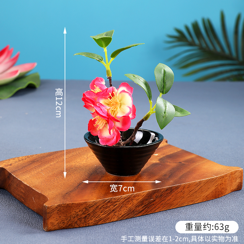 酒店菜品摆盘装饰点缀冷菜装饰花草摆盘刺身绿毛球三文鱼摆件围边|undefined
