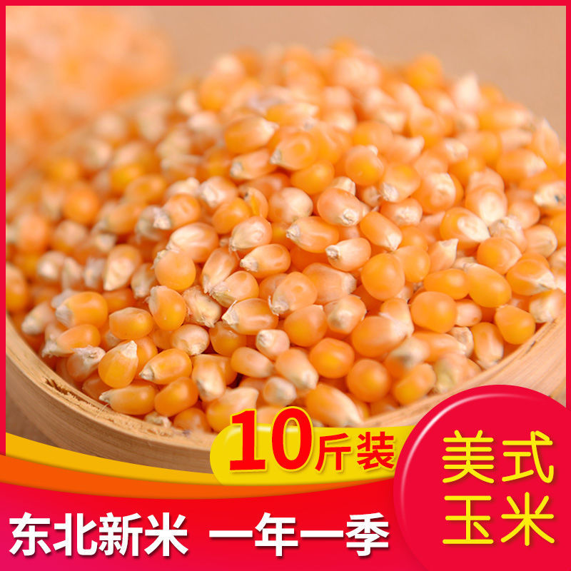 球形爆米花玉米粒自制DIY原料小玉米家用苞米花微波炉5斤2斤