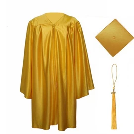 帽子头巾配件;成人帽;食物罩