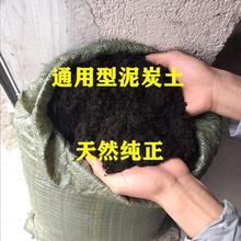 包邮大包草炭土泥炭土多肉土营养土养花土盆栽土花卉种植土有机肥