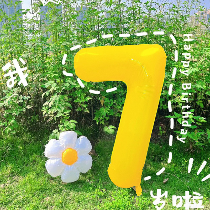 小红薯同款户外生日场景氛围布置装饰网纱背景挂布6周岁男孩拍照|undefined