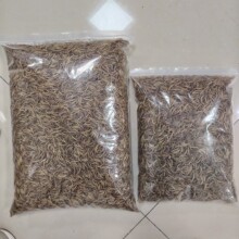 ����x���S���x���x�}��Zʳ���Z�����ߵ��נI�B�Zʳ�F؛���l
