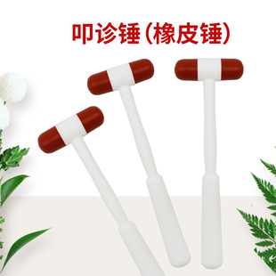 ߵ�\�N81117 �\�Nϥ����������Ƥ�NС�W�ƌW���̌W�x����Ħ��