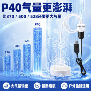 P40�L����������~�׳������{����܇�d��~�o��С��USB�����ü���