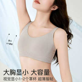 反重力提拉内衣女大胸显小兔耳杯薄款W型软支撑无痕文胸罩
