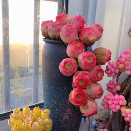 水蜜桃玫瑰多肉植物山地粉色酒杯玫瑰趣味室内盆栽桌面