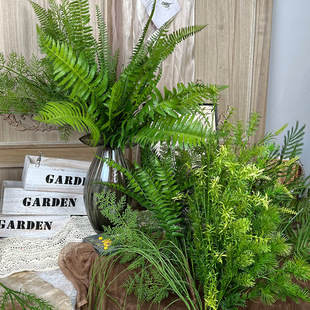 ����Gֲ�����L֦�G�ݾGɫާ��~Ƭֲ��廨��ݻ�c�����~��