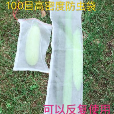 Melon and fruit insect proof bag Drosophila melanogaster Bagging Loofah cucumber Bitter grape tomato nylon Bag 100 Eye