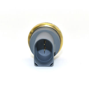 95510612500 suitable for Porsche Volkswagen Audi engine water temperature sensor