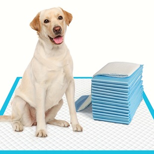 2025 New Cross-Border Dropshipping 100 Pieces 17.7X13 Inches 6-Layer Protective Structure