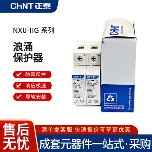 Chint Surge Protector NXU-IIG Lightning Protector 2P Surge Lightning Protection Switch 220V Lightning Protection Protector