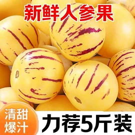 苹果;梨;块茎类