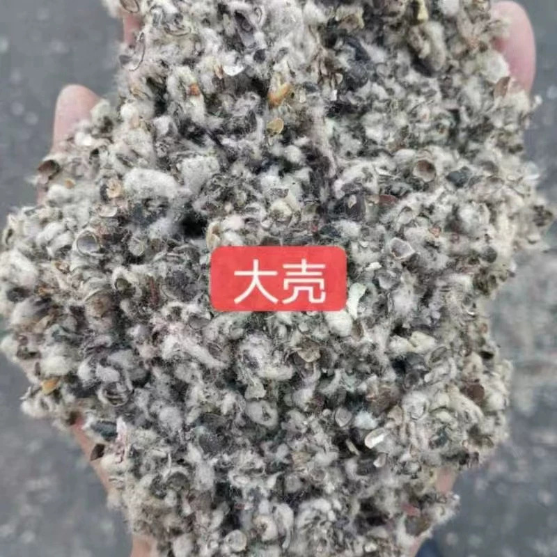 018bf63e04874c04c72a4627d23768