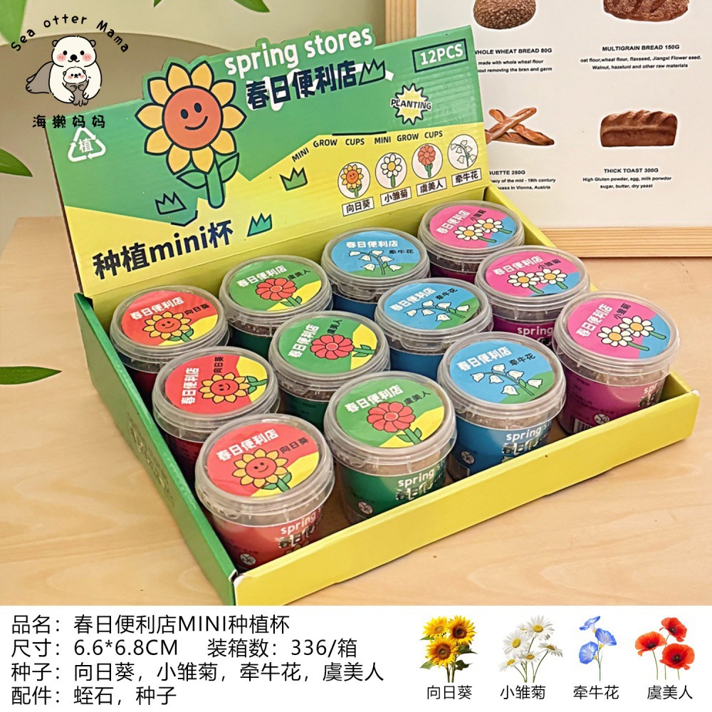 Nuevo creativo DIY niños plantas en maceta caja ciega decoración de escritorio interesante regalo de premios estudiantes pequeñas mujeres en maceta image 11