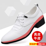 PZ2558 tăng chiều cao màu trắng