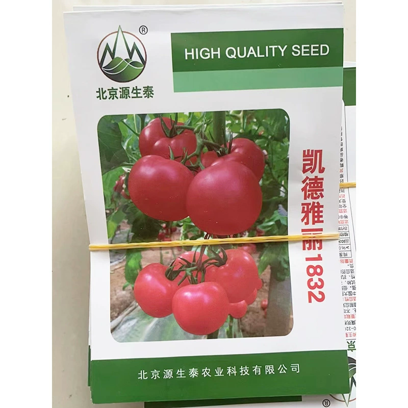 Кайде Яли 1832 перезимовавшие семена помидоров